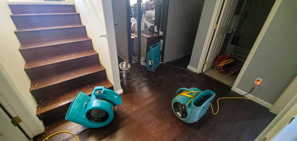 Best Water damage restoration cost  in Accokeek, MD