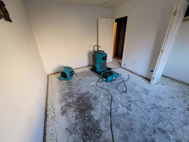 Trusted Accokeek, MD Water damage restoration Experts