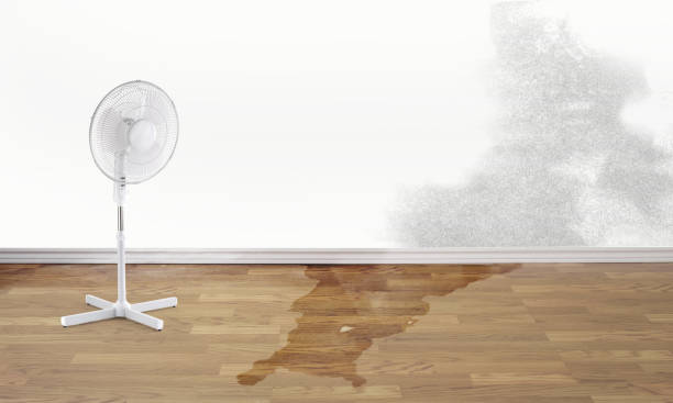 Best Carpet water damage restoration  in Accokeek, MD