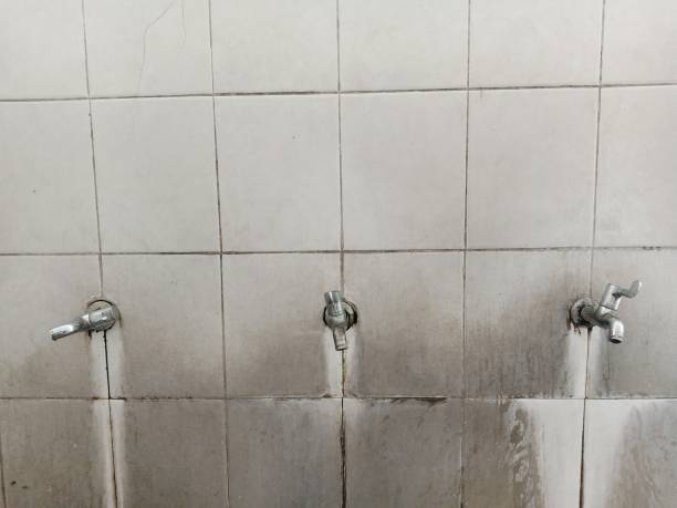 Best 24-hour water damage restoration  in Accokeek, MD