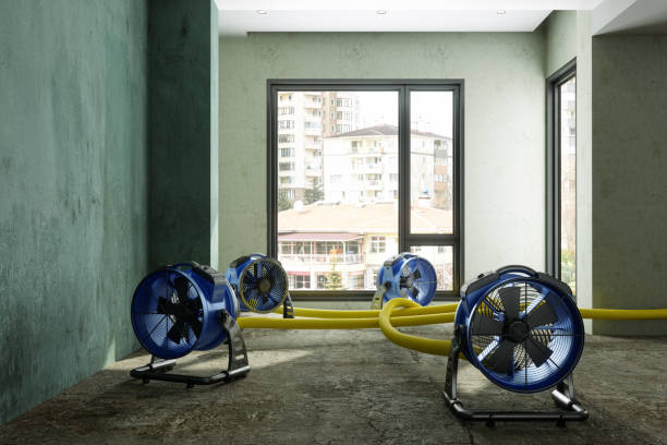 Best Residential water damage restoration  in Accokeek, MD