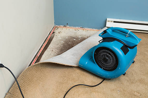 Water damage restoration experts in Accokeek, MD